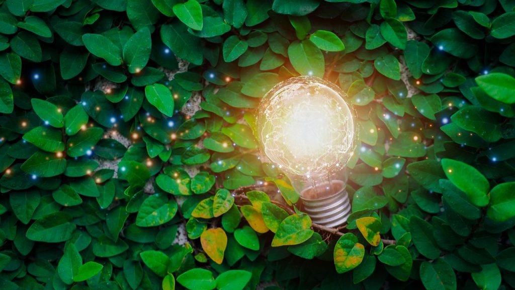 "Canoo EV, Audi e-tron och Lucid Air: De mest spännande elbilarna på marknaden idag"