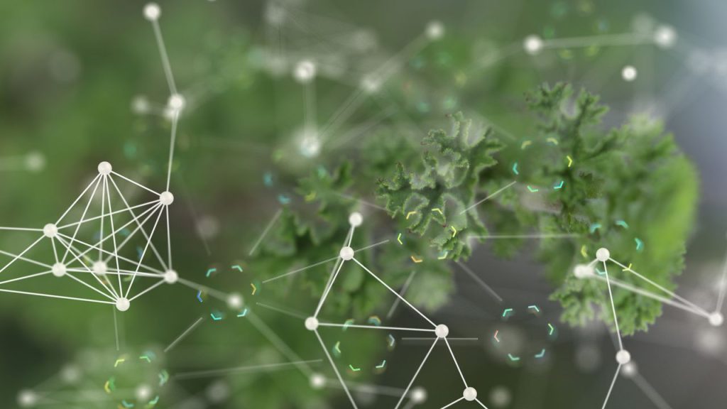 Vindkraft – En hållbar energilösning Vindkraft - En hållbar energilösning